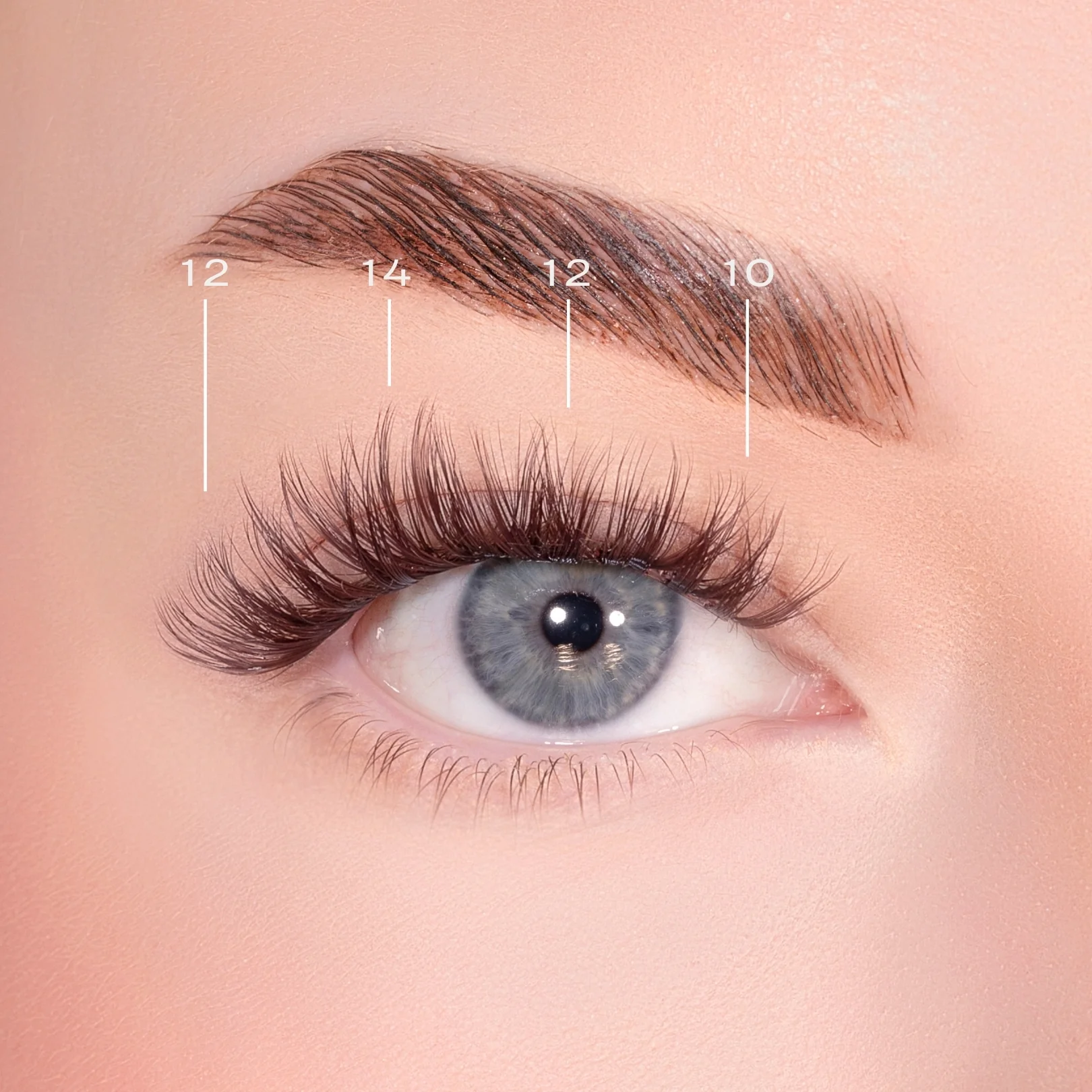 Bold Definition Dark Brown Pre-Glued Lashes Set - Image 4