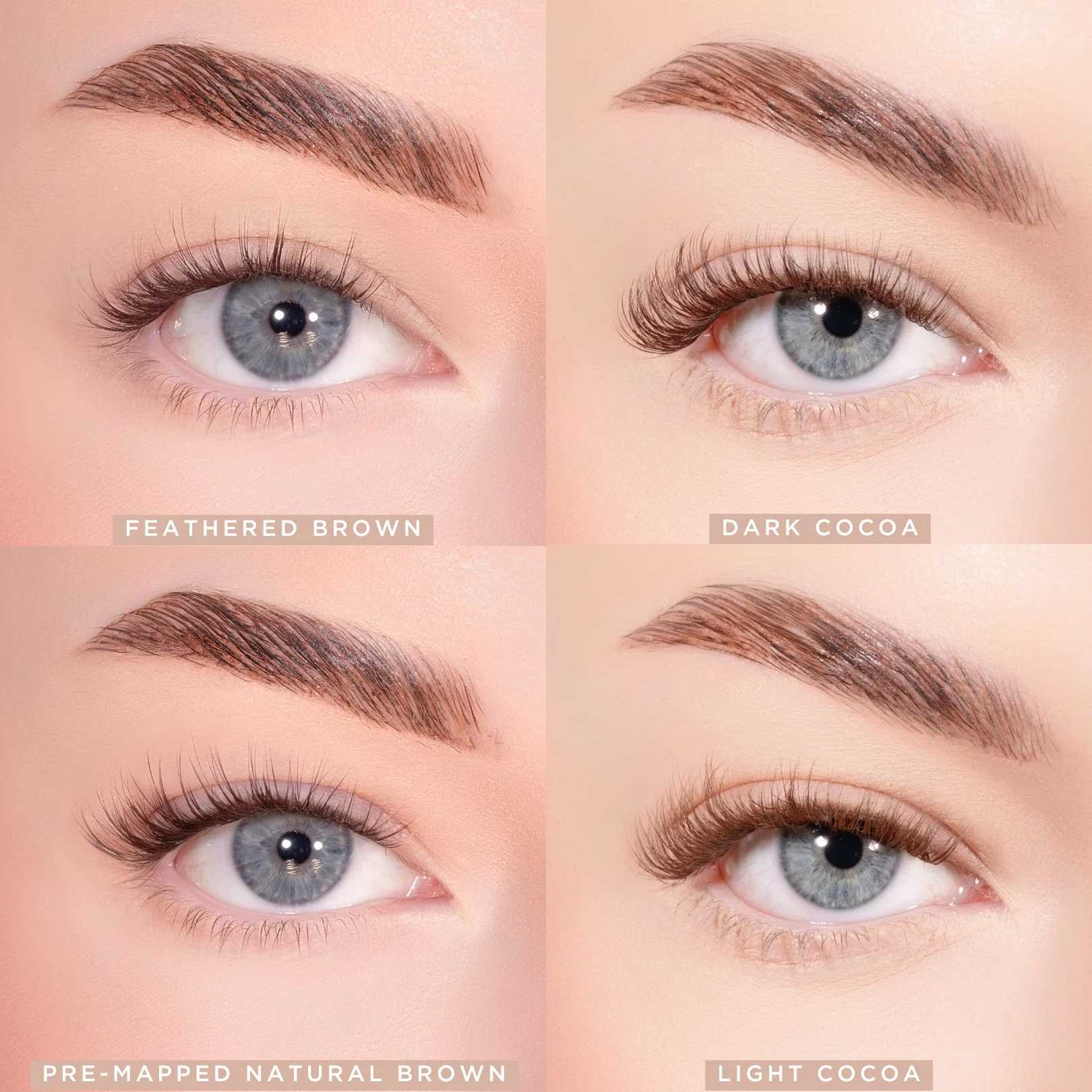 Bold Definition Dark Brown Pre-Glued Lashes - Image 5
