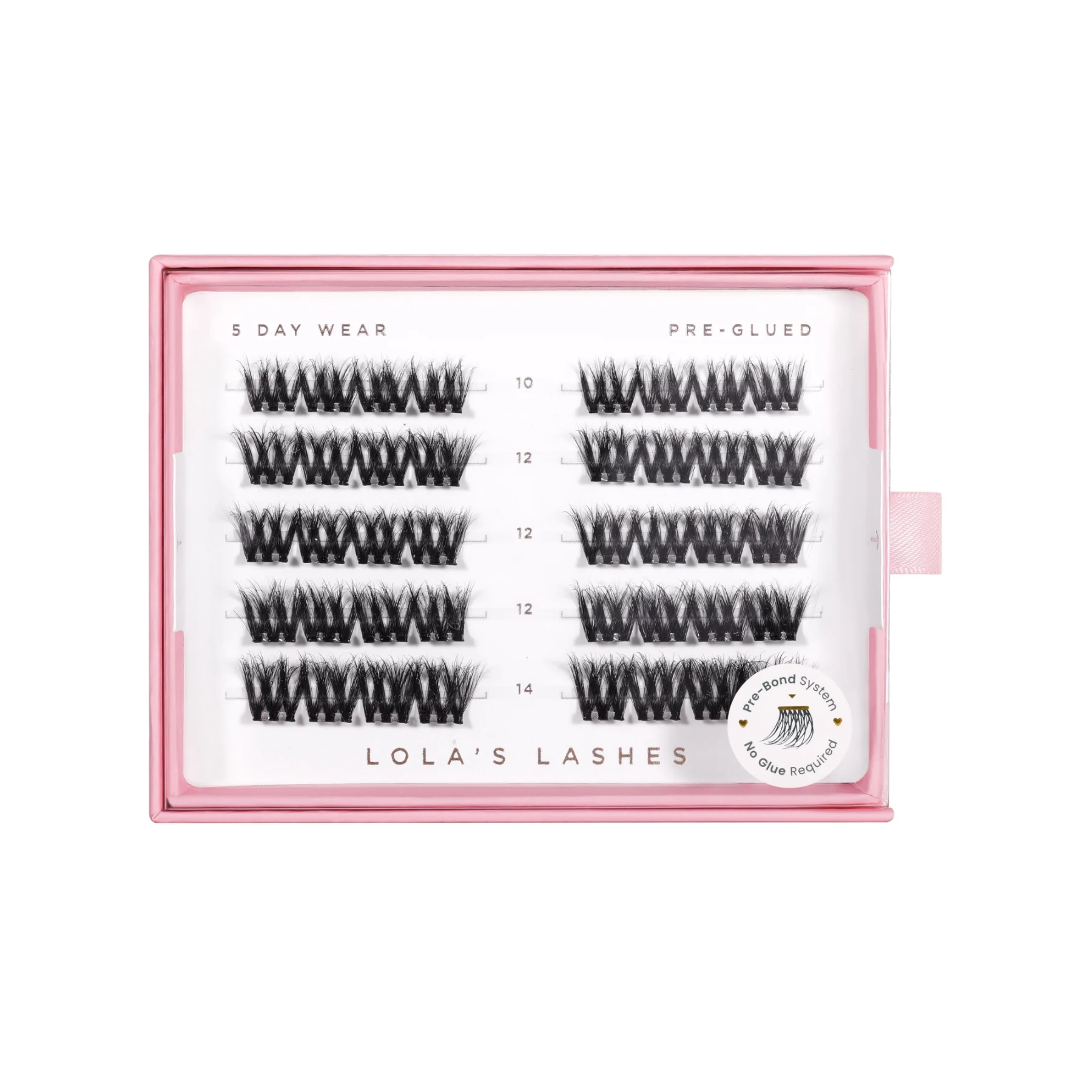 Bold Definition Pre-Glued Lashes