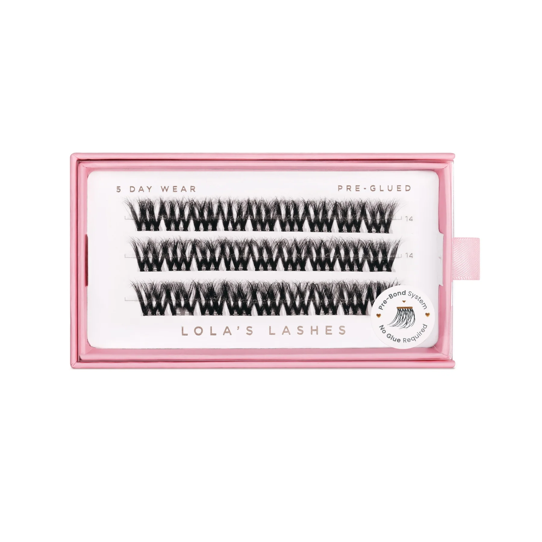 Bold Definition Single Length Pre-Glued Lashes - Image 3