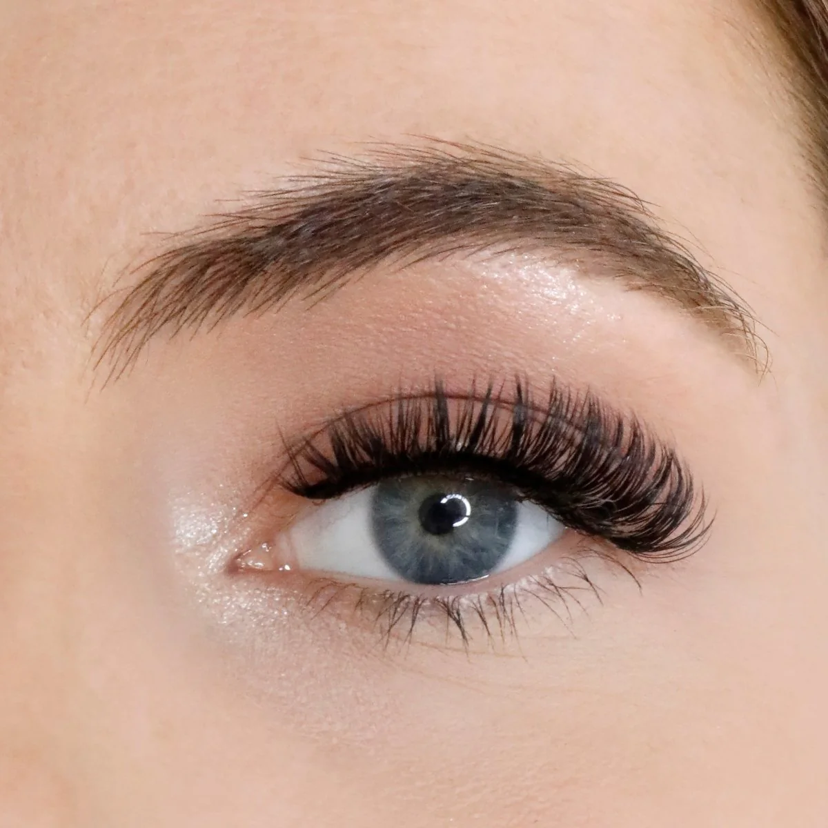 L.W.I Classic Curl Russian Strip Lash Bundle - Image 6