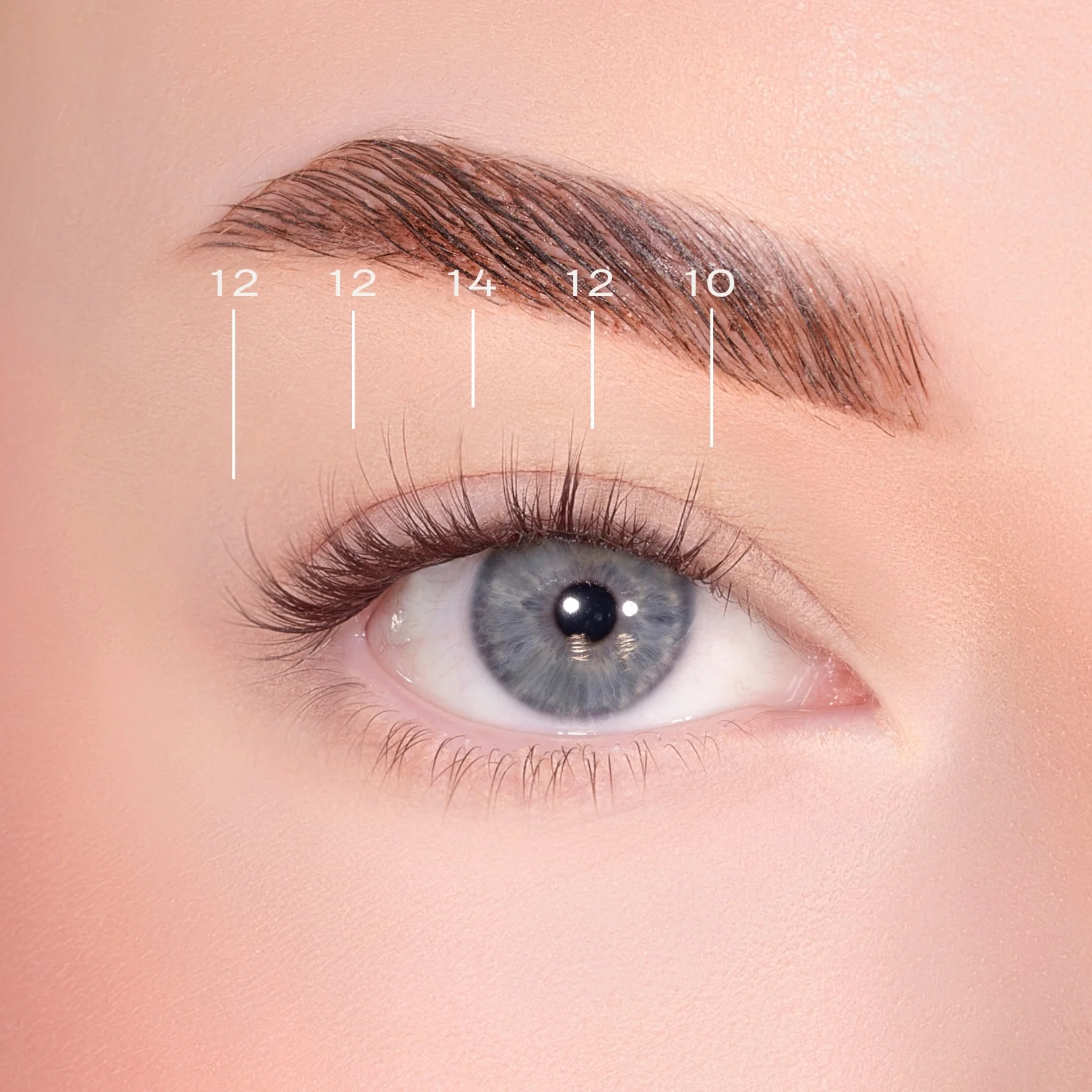Feathered Dark Brown Pre-Glued Lashes - Image 5