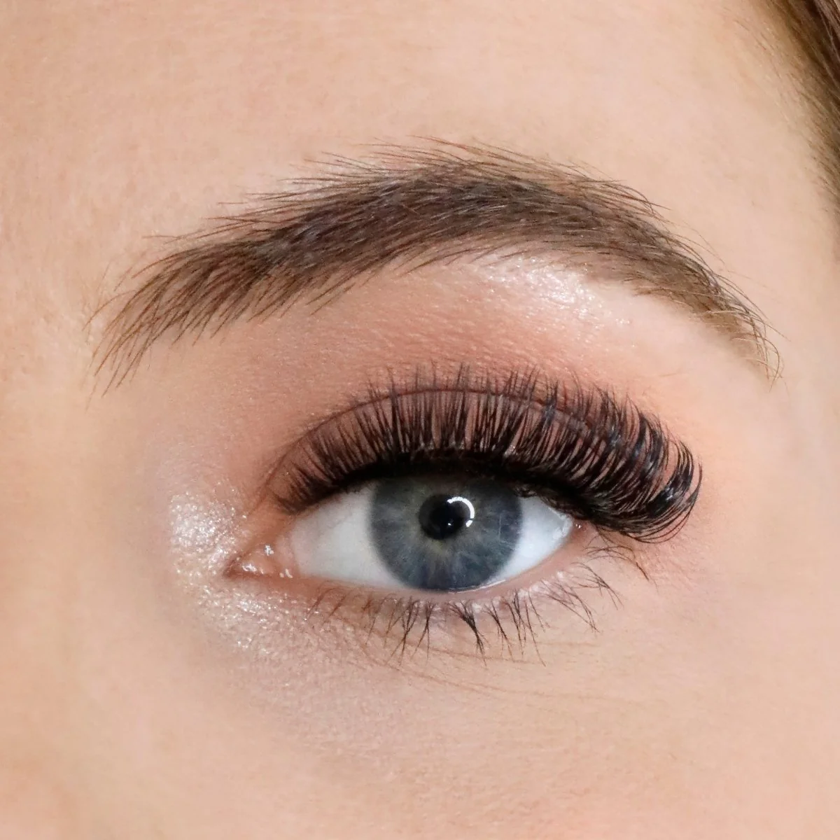 L.W.I Goal Digger Russian Hybrid Magnetic Lash Starter Kit - Image 4