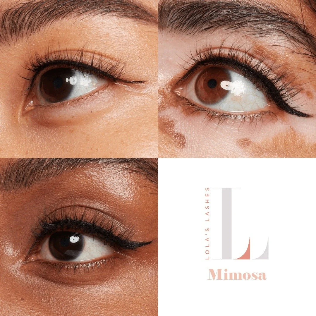 Mimosa 'Classic' Magnetic Lash Starter Set - Image 4