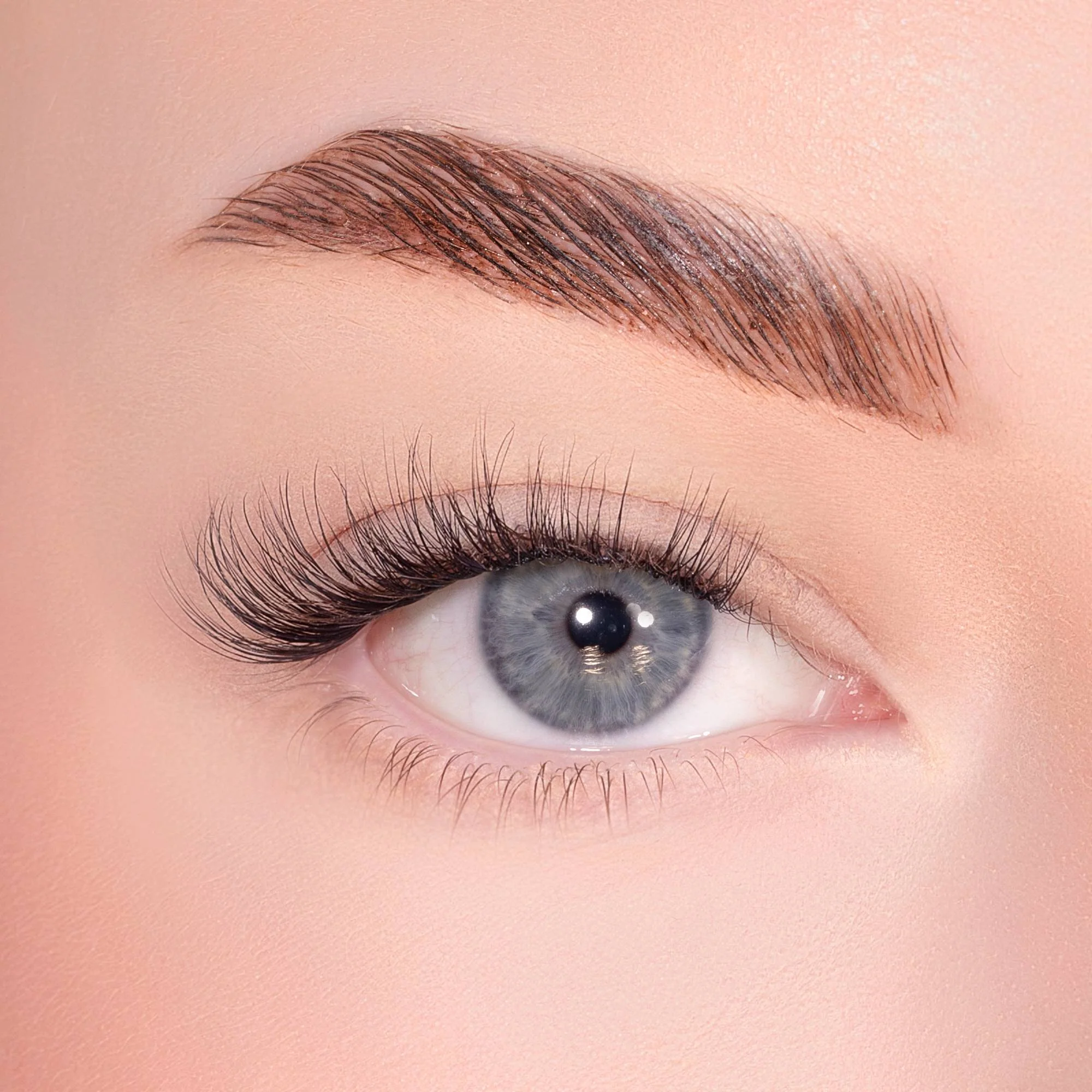 Soft Wisp Pre-Glued Lashes - Image 4