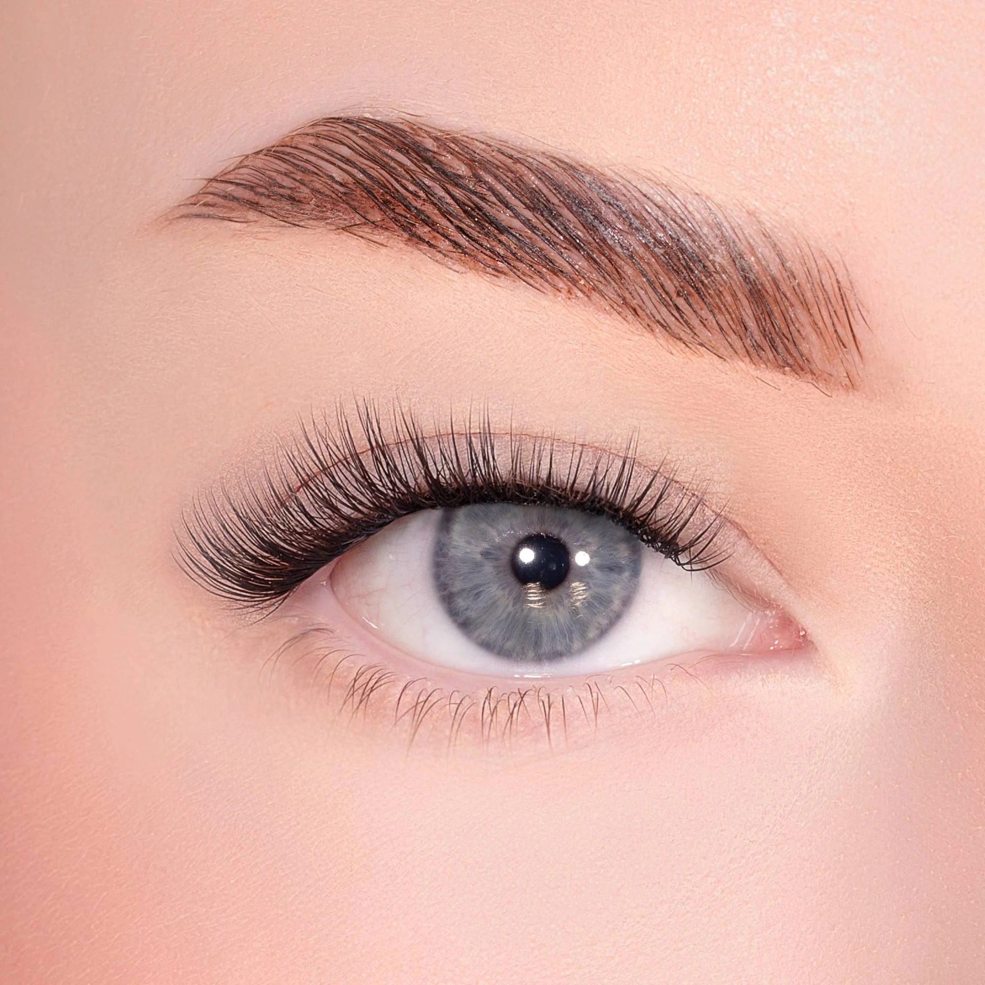 Subtle Pre-Glued Lashes - Image 4